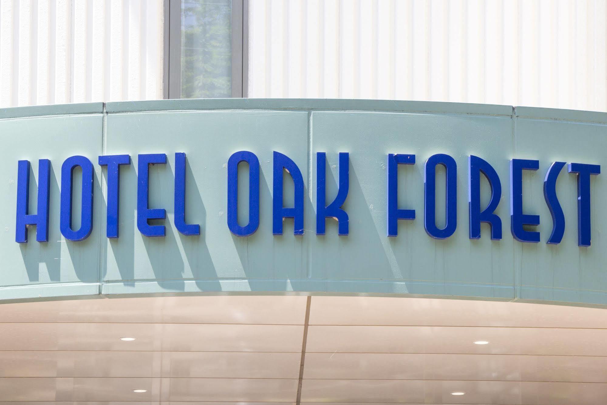 Hotel Oak Forest Hakuba Zewnętrze zdjęcie