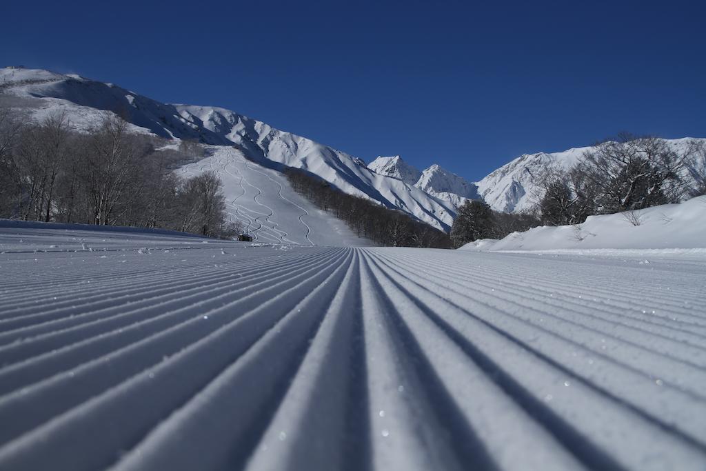 Hotel Oak Forest Hakuba Zewnętrze zdjęcie